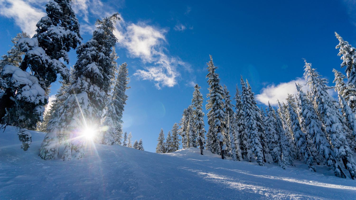 L'INVERNO IN VAL DI FIEMME
